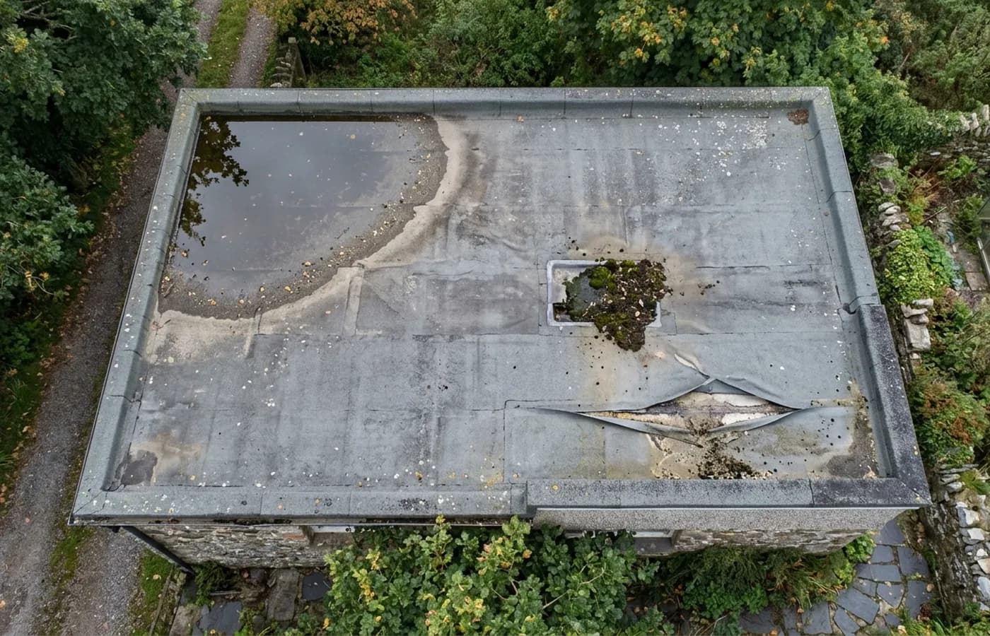 A small flat roof photographed straight down, with standing water pooled in one corner, a silted rainwater outlet and a lifted seam near the parapet